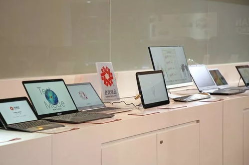 南博會(huì)今日盛大開(kāi)幕，昭陽(yáng)參展企業(yè)喜迎“開(kāi)門紅”，現(xiàn)場(chǎng)簽下首單！附逛展攻略與技術(shù)交流指南